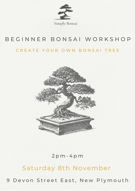 bonsai tree plymouth Beginner Bonsai Classes NZ – Simply Bonsai