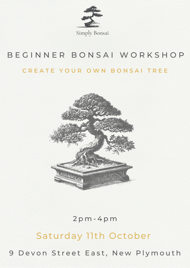 Beginner Bonsai Workshop | Saturday 11th October from 2pm-4pm-Simply Bonsai NZ-[Bonsai NZ]-[Buy bonsai NZ]-[Bonsai Tree NZ]-Simply Bonsai NZ