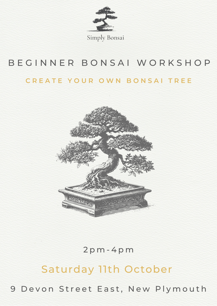 Beginner Bonsai Workshop | Saturday 11th October from 2pm-4pm-Simply Bonsai NZ-[Bonsai NZ]-[Buy bonsai NZ]-[Bonsai Tree NZ]-Simply Bonsai NZ