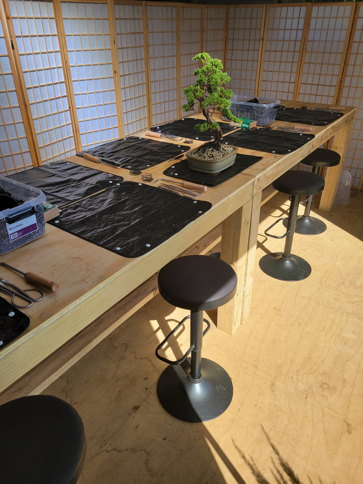 Beginner Bonsai Workshop | Saturday 17th May (Morning)-Simply Bonsai NZ-[Bonsai NZ]-[Buy bonsai NZ]-[Bonsai Tree NZ]-Simply Bonsai NZ