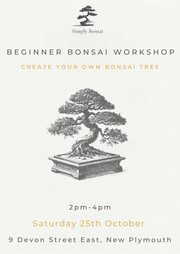 Beginner Bonsai Workshop | Saturday 25th October from 2pm-4pm-Simply Bonsai NZ-[Bonsai NZ]-[Buy bonsai NZ]-[Bonsai Tree NZ]-Simply Bonsai NZ