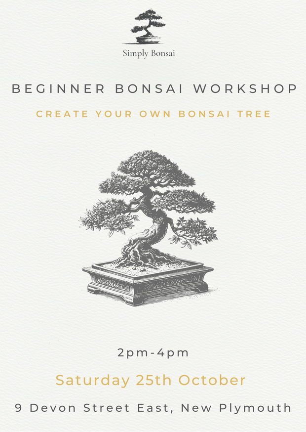 Beginner Bonsai Workshop | Saturday 25th October from 2pm-4pm-Simply Bonsai NZ-[Bonsai NZ]-[Buy bonsai NZ]-[Bonsai Tree NZ]-Simply Bonsai NZ