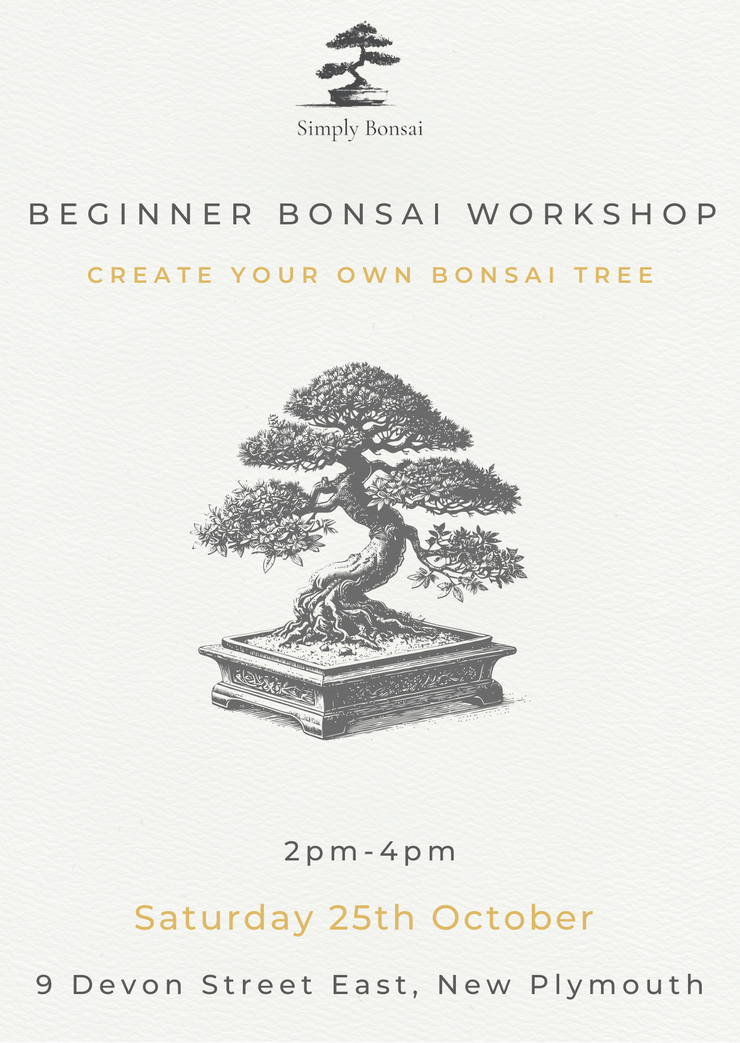 Beginner Bonsai Workshop | Saturday 25th October from 2pm-4pm-Simply Bonsai NZ-[Bonsai NZ]-[Buy bonsai NZ]-[Bonsai Tree NZ]-Simply Bonsai NZ