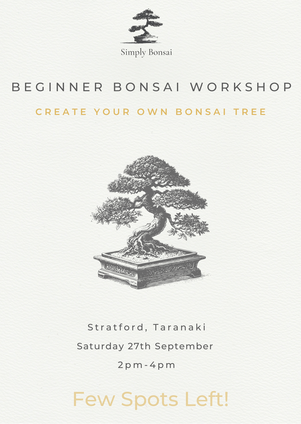 Beginner Bonsai Workshop | Saturday 27th September (Afternoon)-Simply Bonsai NZ-[Bonsai NZ]-[Buy bonsai NZ]-[Bonsai Tree NZ]-Simply Bonsai NZ