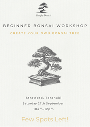 Beginner Bonsai Workshop | Saturday 27th September (Morning)-Simply Bonsai NZ-[Bonsai NZ]-[Buy bonsai NZ]-[Bonsai Tree NZ]-Simply Bonsai NZ