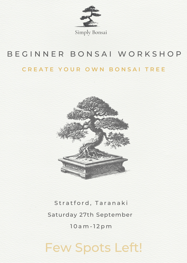 Beginner Bonsai Workshop | Saturday 27th September (Morning)-Simply Bonsai NZ-[Bonsai NZ]-[Buy bonsai NZ]-[Bonsai Tree NZ]-Simply Bonsai NZ