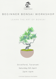 Beginner Bonsai Workshop | Saturday 5th April (Afternoon)-Simply Bonsai NZ-[Bonsai NZ]-[Buy bonsai NZ]-[Bonsai Tree NZ]-Simply Bonsai NZ