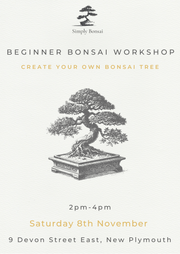Beginner Bonsai Workshop | Saturday 8th November from 2pm-4pm-Simply Bonsai NZ-[Bonsai NZ]-[Buy bonsai NZ]-[Bonsai Tree NZ]-Simply Bonsai NZ