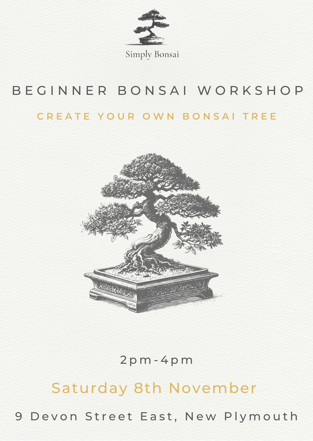 Beginner Bonsai Workshop | Saturday 8th November from 2pm-4pm-Simply Bonsai NZ-[Bonsai NZ]-[Buy bonsai NZ]-[Bonsai Tree NZ]-Simply Bonsai NZ