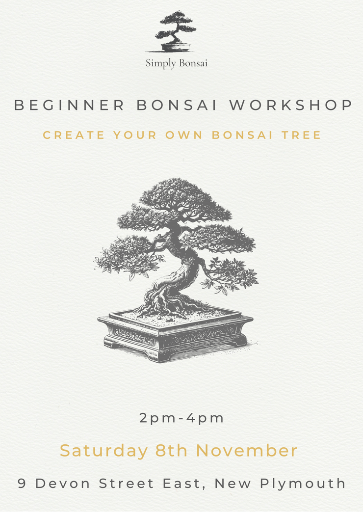 Beginner Bonsai Workshop | Saturday 8th November from 2pm-4pm-Simply Bonsai NZ-[Bonsai NZ]-[Buy bonsai NZ]-[Bonsai Tree NZ]-Simply Bonsai NZ