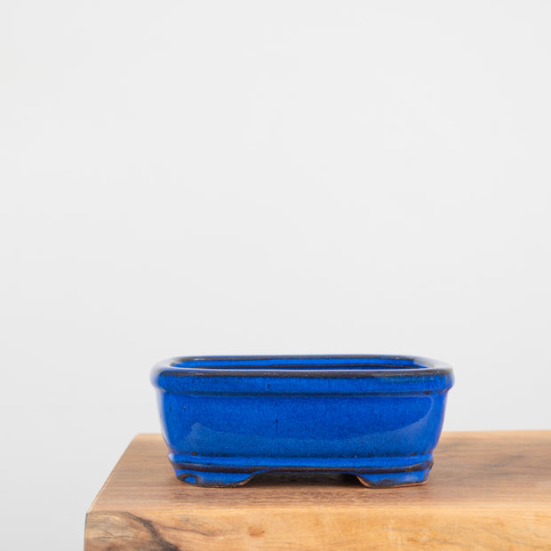 Bonsai Pots (7")-Simply Bonsai NZ-[Bonsai NZ]-[Buy bonsai NZ]-[Bonsai Tree NZ]-Simply Bonsai NZ