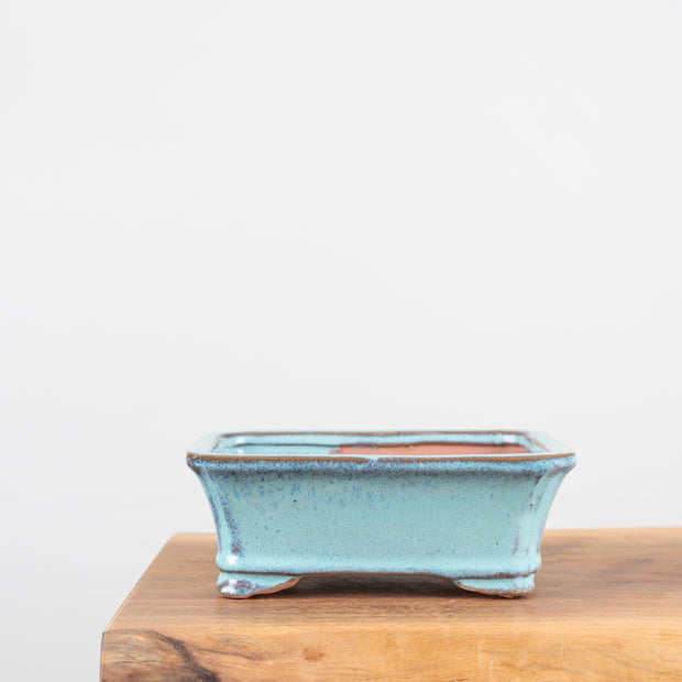 Bonsai Pots (7")-Simply Bonsai NZ-[Bonsai NZ]-[Buy bonsai NZ]-[Bonsai Tree NZ]-Simply Bonsai NZ