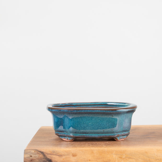 Bonsai Pots (7")-Simply Bonsai NZ-[Bonsai NZ]-[Buy bonsai NZ]-[Bonsai Tree NZ]-Simply Bonsai NZ