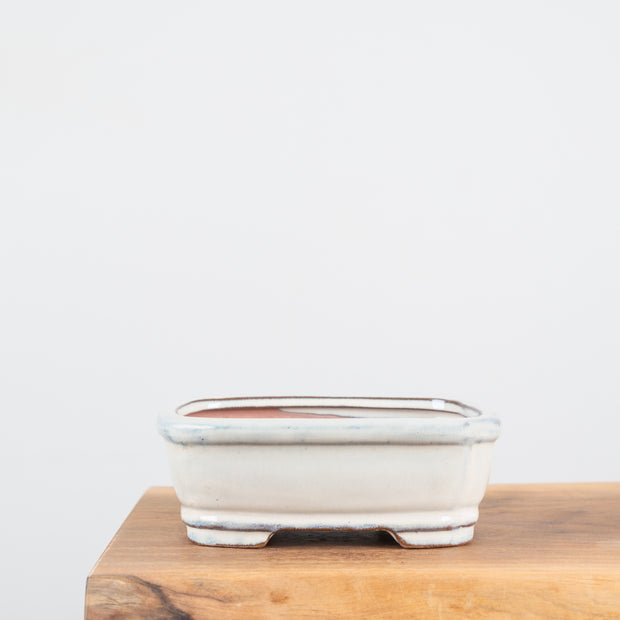 Bonsai Pots (7")-Simply Bonsai NZ-[Bonsai NZ]-[Buy bonsai NZ]-[Bonsai Tree NZ]-Simply Bonsai NZ