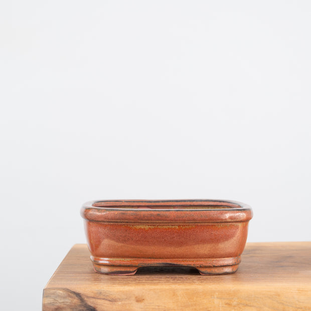 Bonsai Pots (7")-Simply Bonsai NZ-[Bonsai NZ]-[Buy bonsai NZ]-[Bonsai Tree NZ]-Simply Bonsai NZ