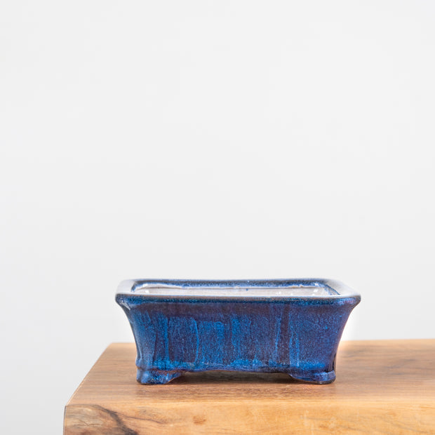 Bonsai Pots (7")-Simply Bonsai NZ-[Bonsai NZ]-[Buy bonsai NZ]-[Bonsai Tree NZ]-Simply Bonsai NZ