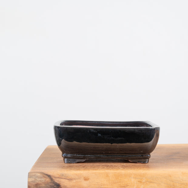 Bonsai Pots (7")-Simply Bonsai NZ-[Bonsai NZ]-[Buy bonsai NZ]-[Bonsai Tree NZ]-Simply Bonsai NZ