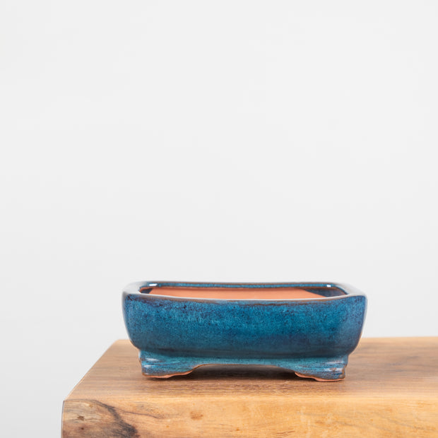Bonsai Pots (7")-Simply Bonsai NZ-[Bonsai NZ]-[Buy bonsai NZ]-[Bonsai Tree NZ]-Simply Bonsai NZ