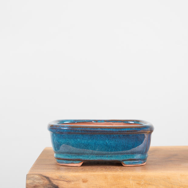 Bonsai Pots (7")-Simply Bonsai NZ-[Bonsai NZ]-[Buy bonsai NZ]-[Bonsai Tree NZ]-Simply Bonsai NZ