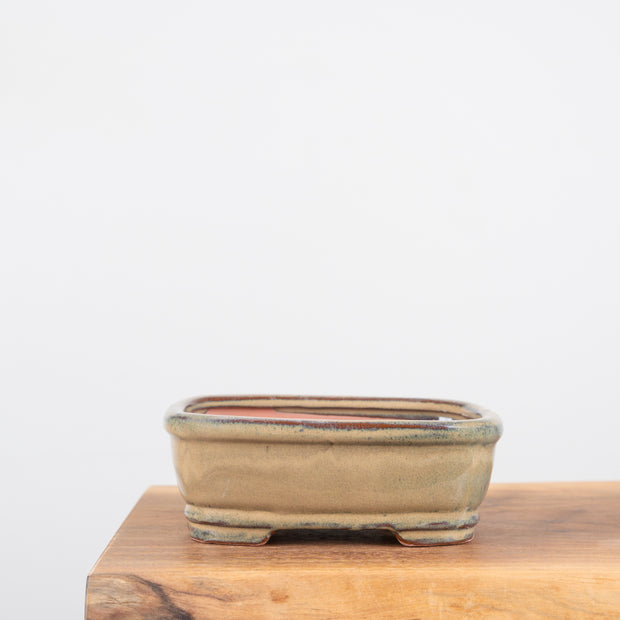 Bonsai Pots (7")-Simply Bonsai NZ-[Bonsai NZ]-[Buy bonsai NZ]-[Bonsai Tree NZ]-Simply Bonsai NZ