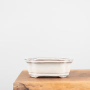 Bonsai Pots (7")-Simply Bonsai NZ-[Bonsai NZ]-[Buy bonsai NZ]-[Bonsai Tree NZ]-Simply Bonsai NZ