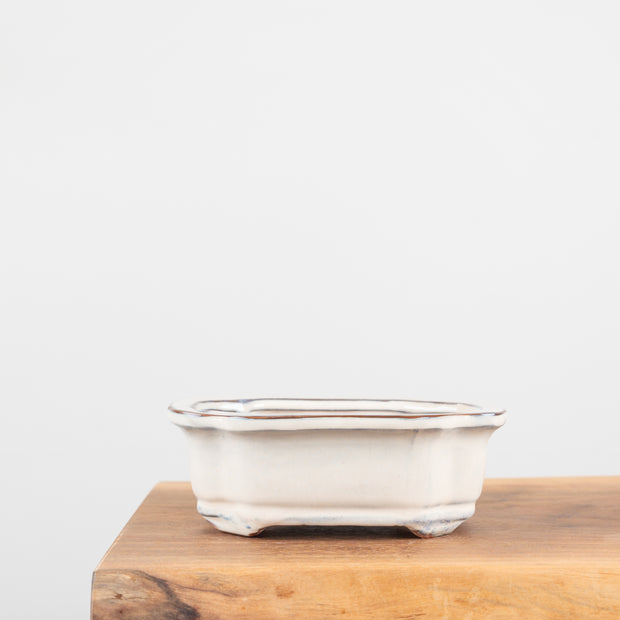 Bonsai Pots (7")-Simply Bonsai NZ-[Bonsai NZ]-[Buy bonsai NZ]-[Bonsai Tree NZ]-Simply Bonsai NZ