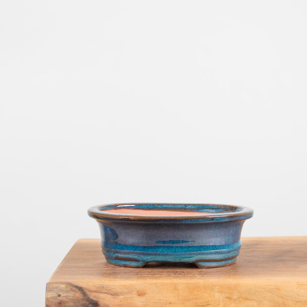 Bonsai Pots (7")-Simply Bonsai NZ-[Bonsai NZ]-[Buy bonsai NZ]-[Bonsai Tree NZ]-Simply Bonsai NZ