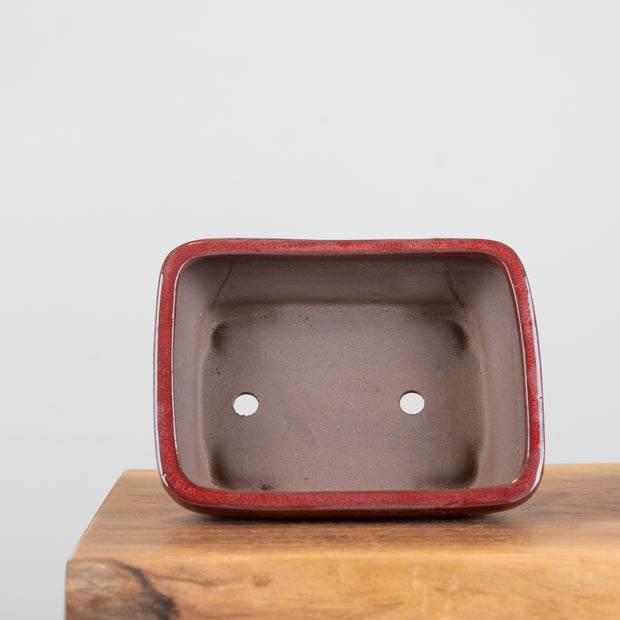 Bonsai Pots (8")-Simply Bonsai NZ-[Bonsai NZ]-[Buy bonsai NZ]-[Bonsai Tree NZ]-Simply Bonsai NZ