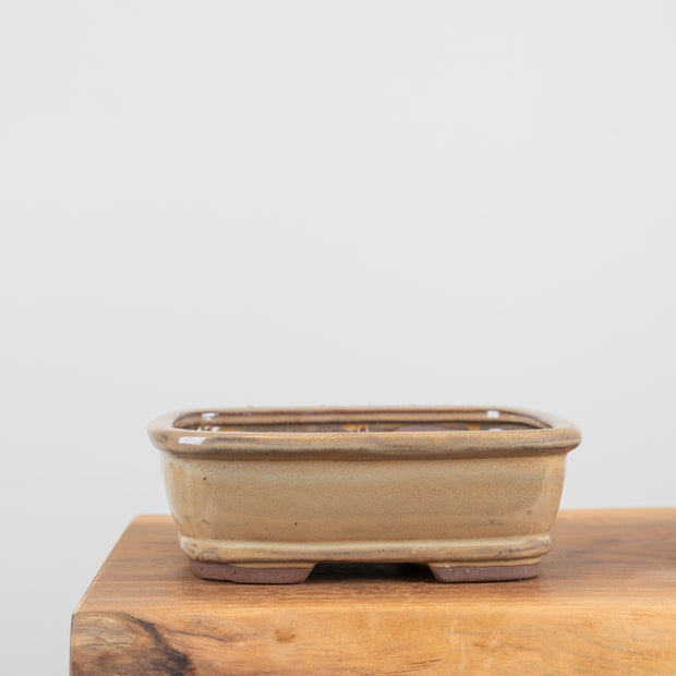 Bonsai Pots (8")-Simply Bonsai NZ-[Bonsai NZ]-[Buy bonsai NZ]-[Bonsai Tree NZ]-Simply Bonsai NZ