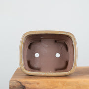 Bonsai Pots (8")-Simply Bonsai NZ-[Bonsai NZ]-[Buy bonsai NZ]-[Bonsai Tree NZ]-Simply Bonsai NZ