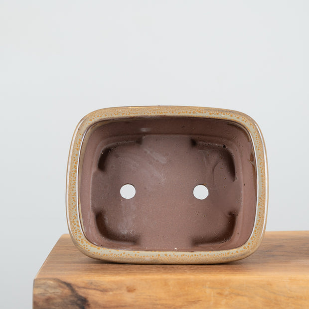 Bonsai Pots (8")-Simply Bonsai NZ-[Bonsai NZ]-[Buy bonsai NZ]-[Bonsai Tree NZ]-Simply Bonsai NZ