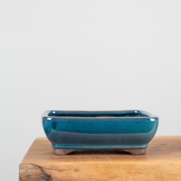 Bonsai Pots (8")-Simply Bonsai NZ-[Bonsai NZ]-[Buy bonsai NZ]-[Bonsai Tree NZ]-Simply Bonsai NZ
