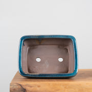 Bonsai Pots (8")-Simply Bonsai NZ-[Bonsai NZ]-[Buy bonsai NZ]-[Bonsai Tree NZ]-Simply Bonsai NZ