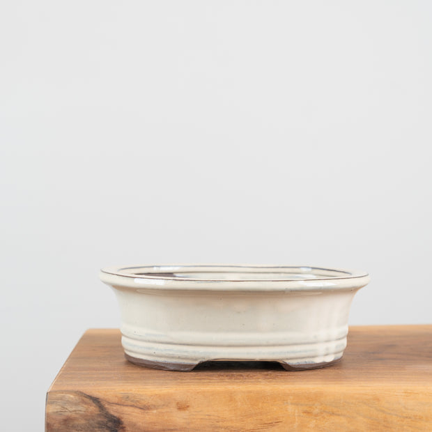 Bonsai Pots (8")-Simply Bonsai NZ-[Bonsai NZ]-[Buy bonsai NZ]-[Bonsai Tree NZ]-Simply Bonsai NZ
