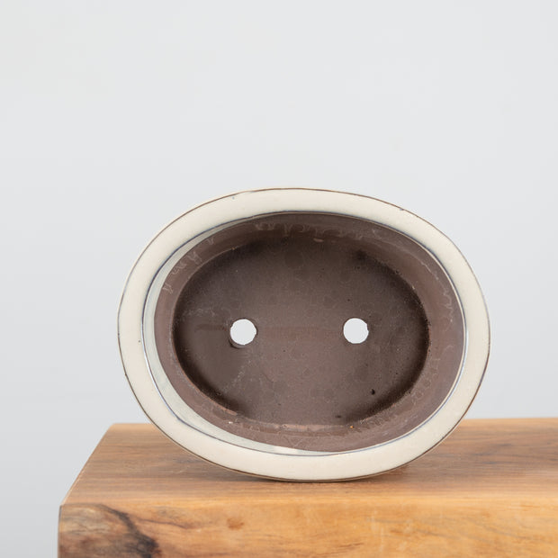 Bonsai Pots (8")-Simply Bonsai NZ-[Bonsai NZ]-[Buy bonsai NZ]-[Bonsai Tree NZ]-Simply Bonsai NZ