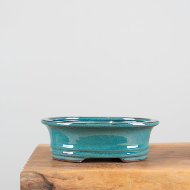 Bonsai Pots (8")-Simply Bonsai NZ-[Bonsai NZ]-[Buy bonsai NZ]-[Bonsai Tree NZ]-Simply Bonsai NZ