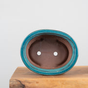 Bonsai Pots (8")-Simply Bonsai NZ-[Bonsai NZ]-[Buy bonsai NZ]-[Bonsai Tree NZ]-Simply Bonsai NZ