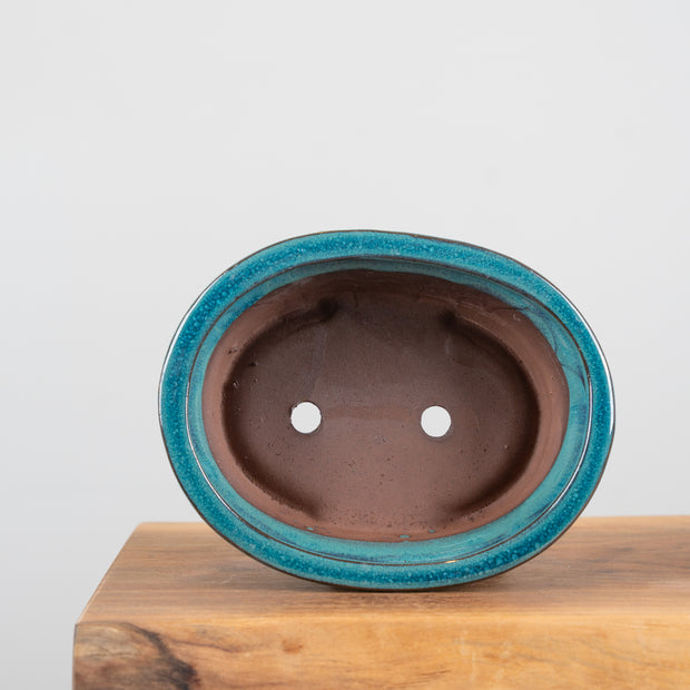 Bonsai Pots (8")-Simply Bonsai NZ-[Bonsai NZ]-[Buy bonsai NZ]-[Bonsai Tree NZ]-Simply Bonsai NZ