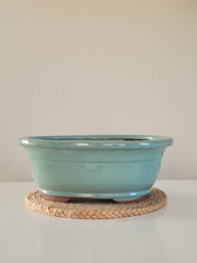 Bonsai Pots (8")-Simply Bonsai NZ-[Bonsai NZ]-[Buy bonsai NZ]-[Bonsai Tree NZ]-Simply Bonsai NZ