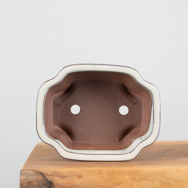 Bonsai Pots (8")-Simply Bonsai NZ-[Bonsai NZ]-[Buy bonsai NZ]-[Bonsai Tree NZ]-Simply Bonsai NZ