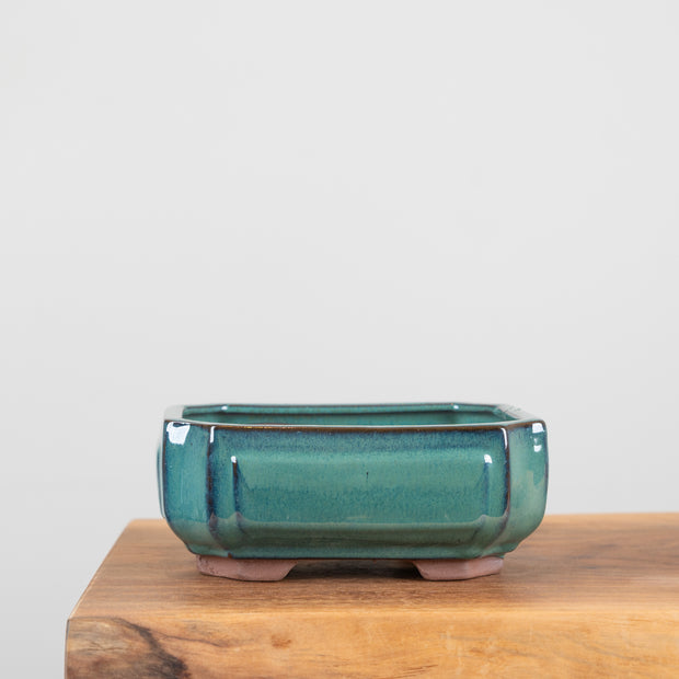 Bonsai Pots (8")-Simply Bonsai NZ-[Bonsai NZ]-[Buy bonsai NZ]-[Bonsai Tree NZ]-Simply Bonsai NZ