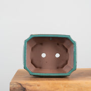 Bonsai Pots (8")-Simply Bonsai NZ-[Bonsai NZ]-[Buy bonsai NZ]-[Bonsai Tree NZ]-Simply Bonsai NZ