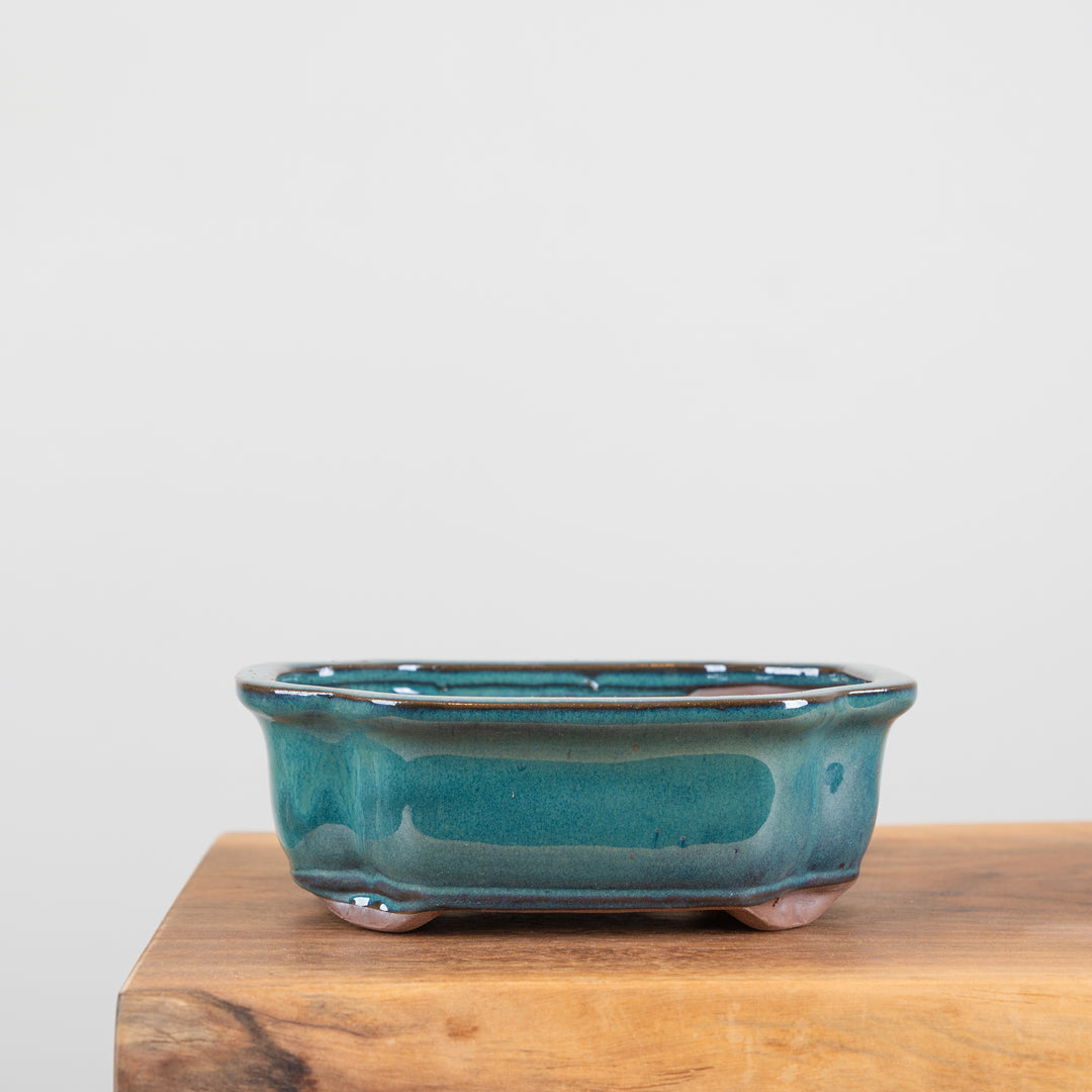 Bonsai Pots (8
