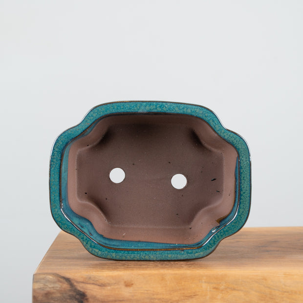Bonsai Pots (8")-Simply Bonsai NZ-[Bonsai NZ]-[Buy bonsai NZ]-[Bonsai Tree NZ]-Simply Bonsai NZ