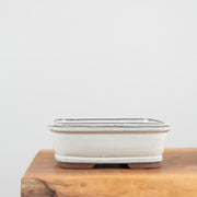 Bonsai Pots (8")-Simply Bonsai NZ-[Bonsai NZ]-[Buy bonsai NZ]-[Bonsai Tree NZ]-Simply Bonsai NZ