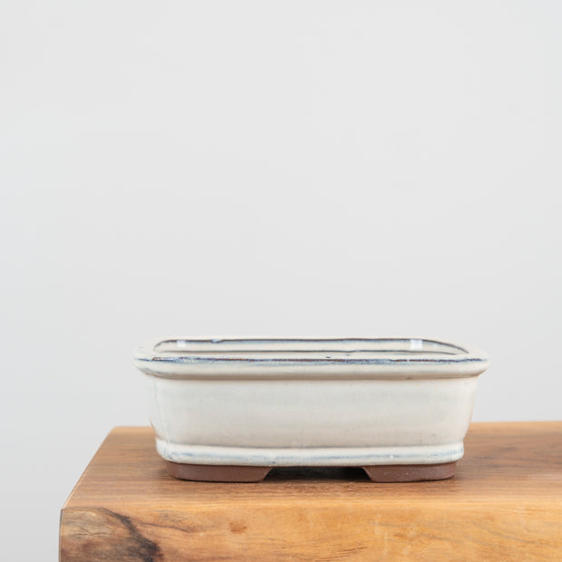 Bonsai Pots (8")-Simply Bonsai NZ-[Bonsai NZ]-[Buy bonsai NZ]-[Bonsai Tree NZ]-Simply Bonsai NZ