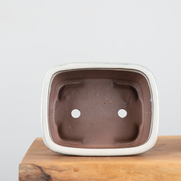 Bonsai Pots (8")-Simply Bonsai NZ-[Bonsai NZ]-[Buy bonsai NZ]-[Bonsai Tree NZ]-Simply Bonsai NZ