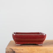 Bonsai Pots (8")-Simply Bonsai NZ-[Bonsai NZ]-[Buy bonsai NZ]-[Bonsai Tree NZ]-Simply Bonsai NZ