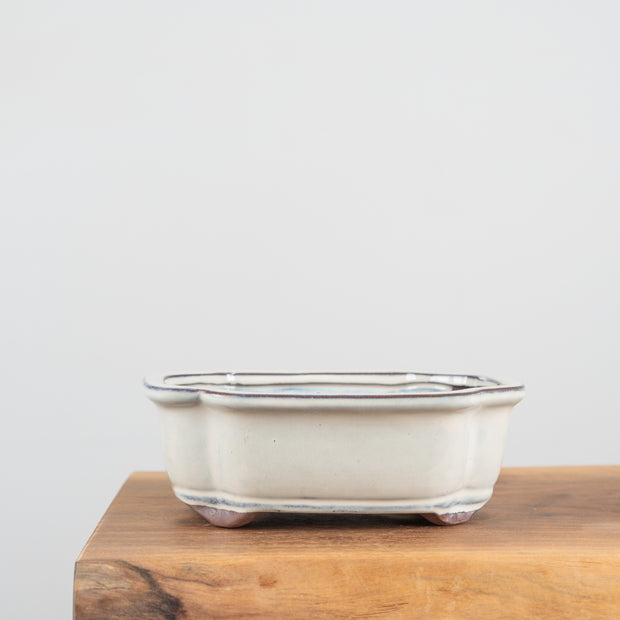Bonsai Pots (8")-Simply Bonsai NZ-[Bonsai NZ]-[Buy bonsai NZ]-[Bonsai Tree NZ]-Simply Bonsai NZ