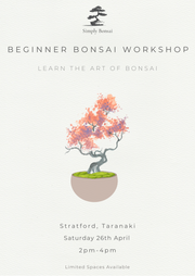 Beginner Bonsai Workshop | Saturday 26th April (Afternoon)